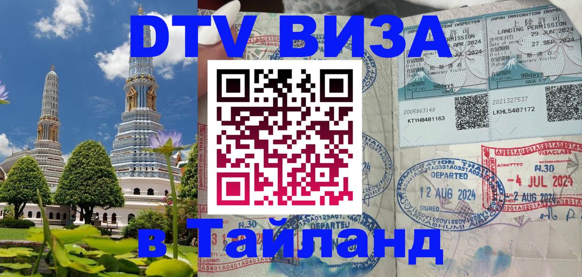 Сколько стоит DTV виза — актуальные цены, оформление даже без документов - Грозный  05.10.2025 